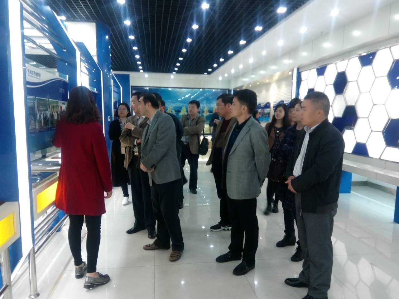 河南省非公党建党委书记一行来海利尔参观