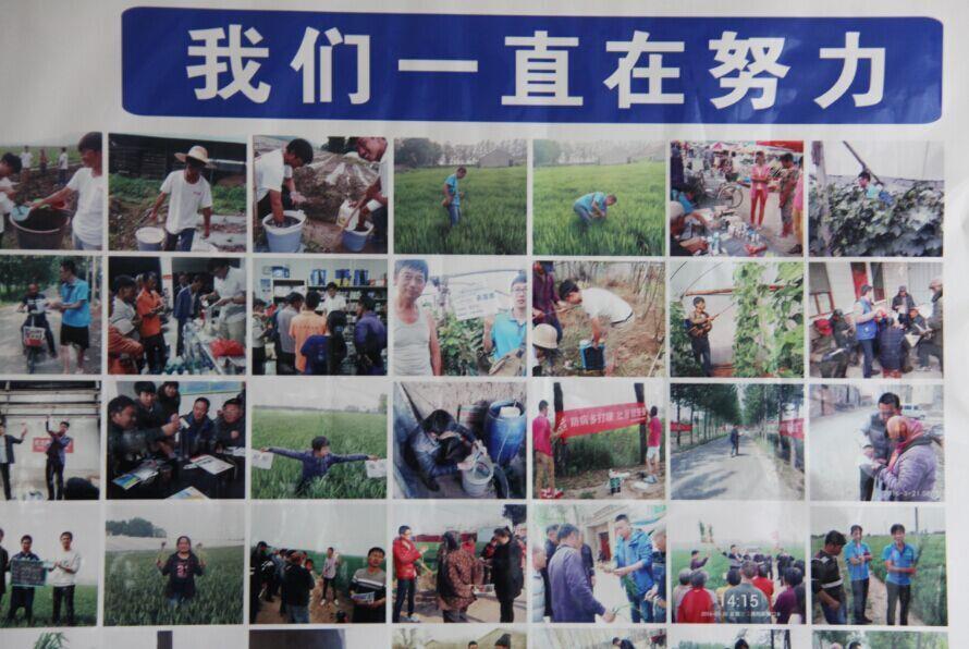 betway西汉姆联官方网站国内制剂2016年度第一次总结暨市场启动会议隆重召开